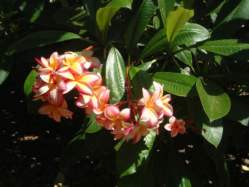 DSCF1612